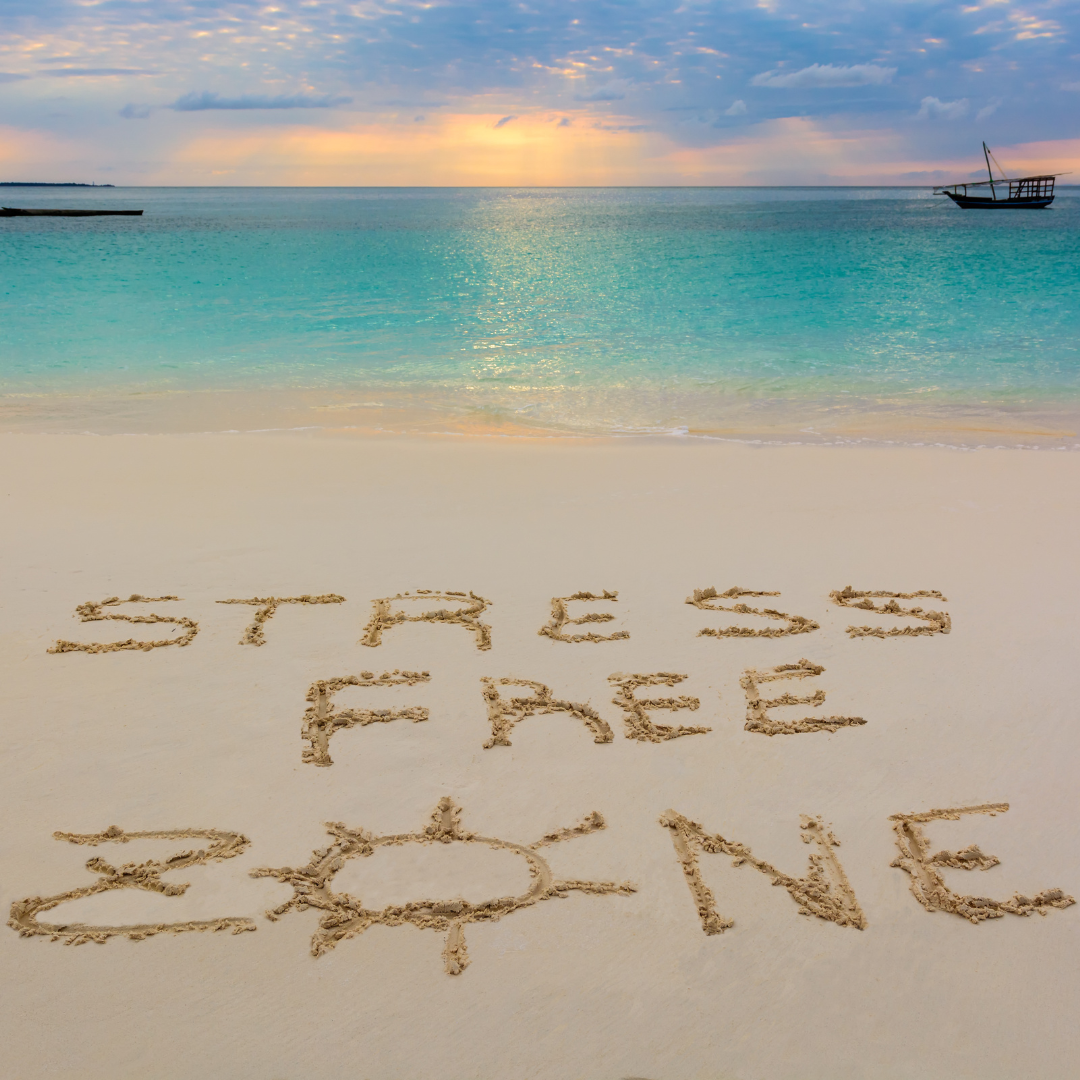 5 Tips to Combat Job Search Driven Anxiety: Land Your Dream Job Stress-Free!